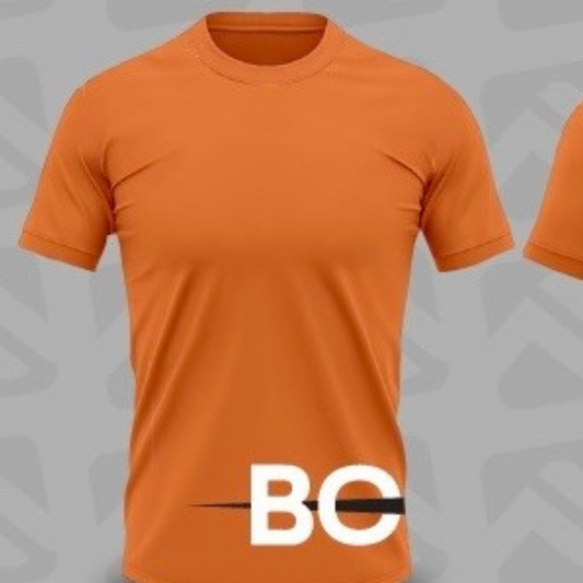 Camiseta Dry manga curta
