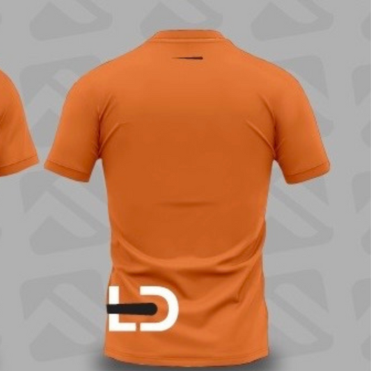 Camiseta Dry manga curta